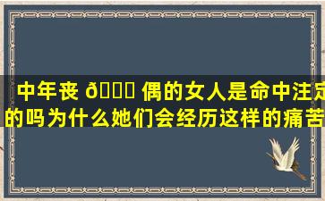 中年丧 🐘 偶的女人是命中注定的吗为什么她们会经历这样的痛苦